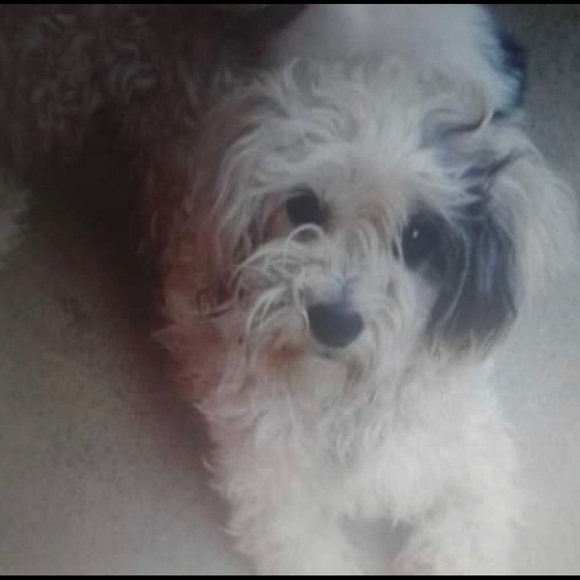 Meet your Posher, Karen - Picture 1 of 1